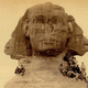 Illustration for article titled Remember when baseball players attacked the Sphinx in 1889?
